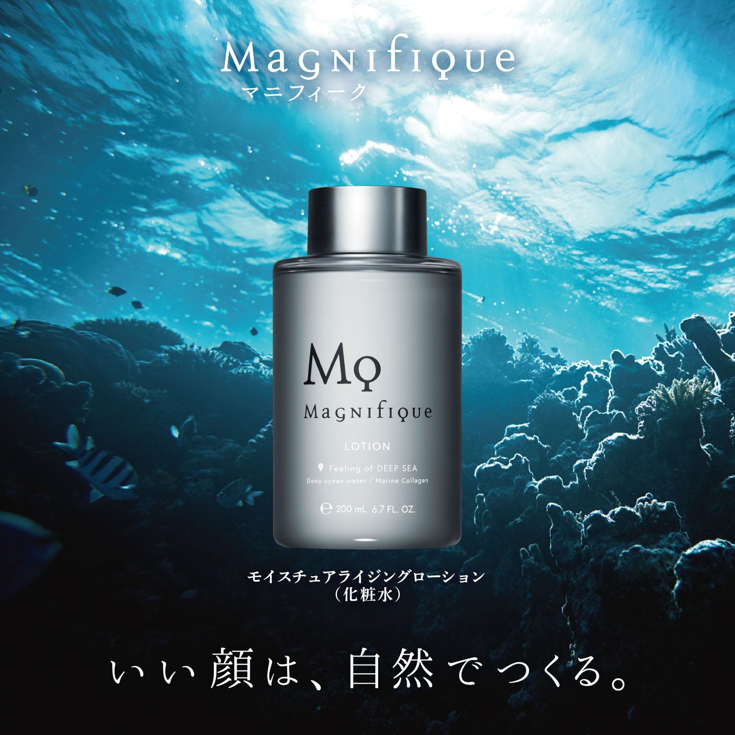 【定期便-MYCHOICE】LOTION