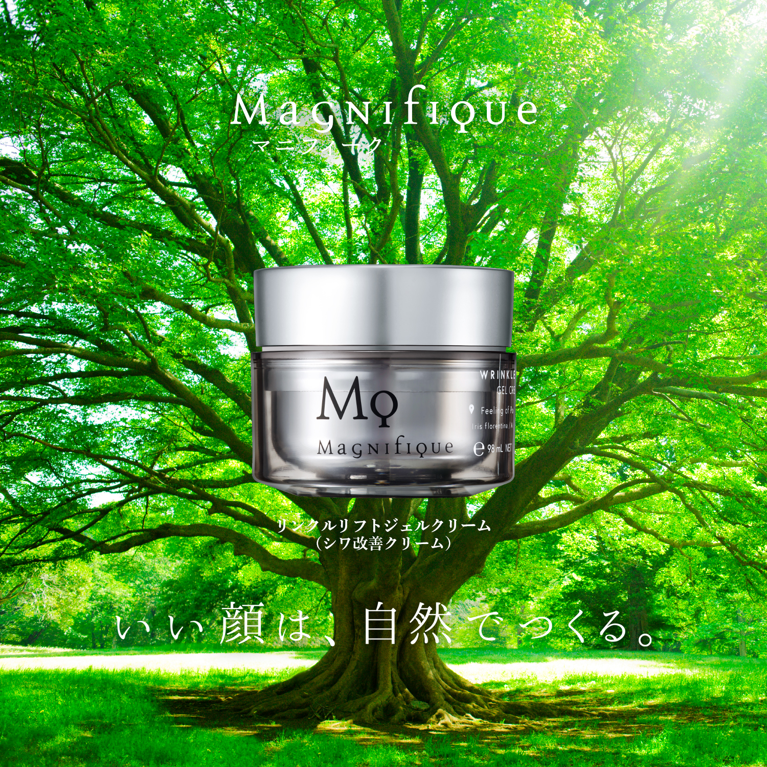 【定期便】WRINKLE LIFT GEL CREAM