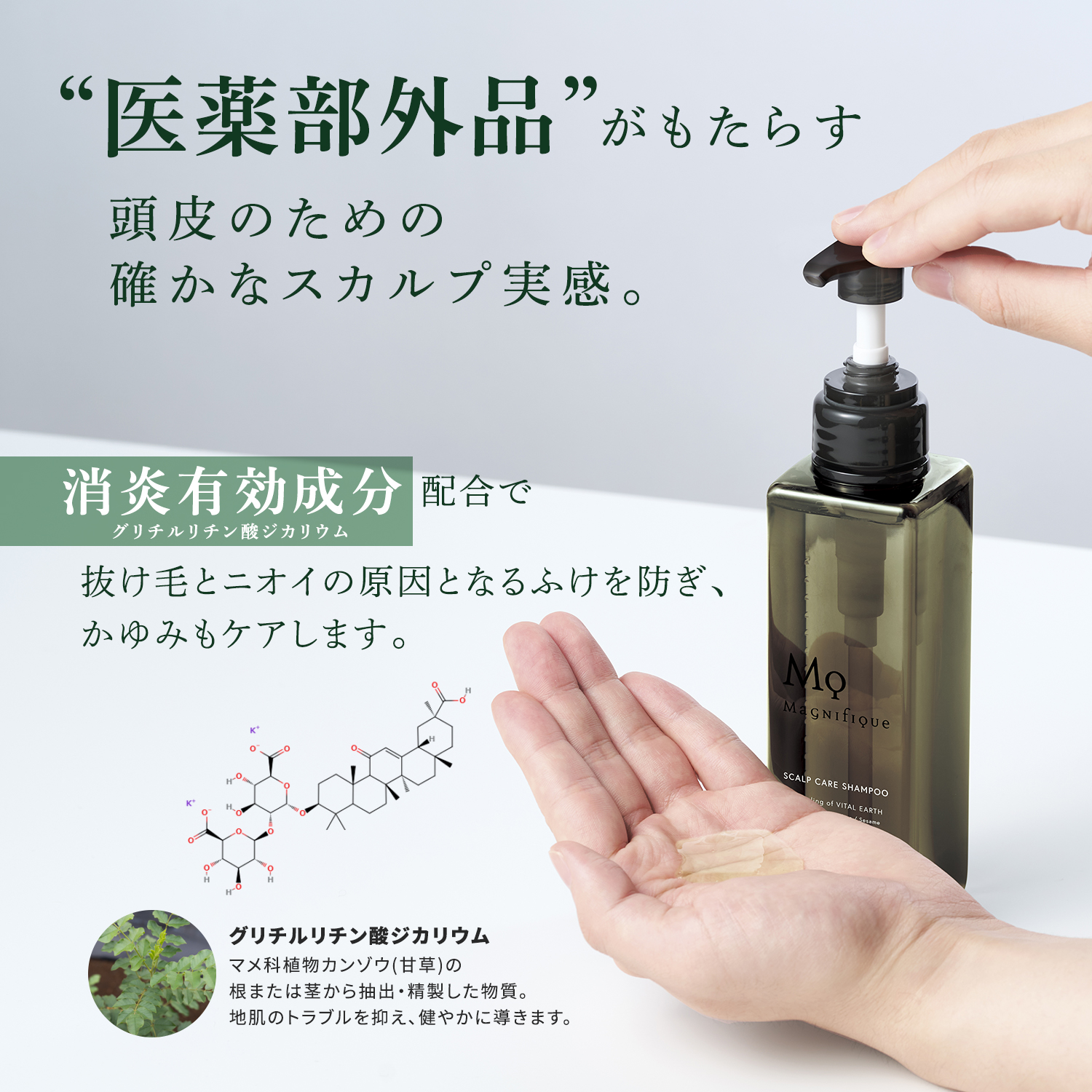 【定期便】SCALP CARE SHAMPOO