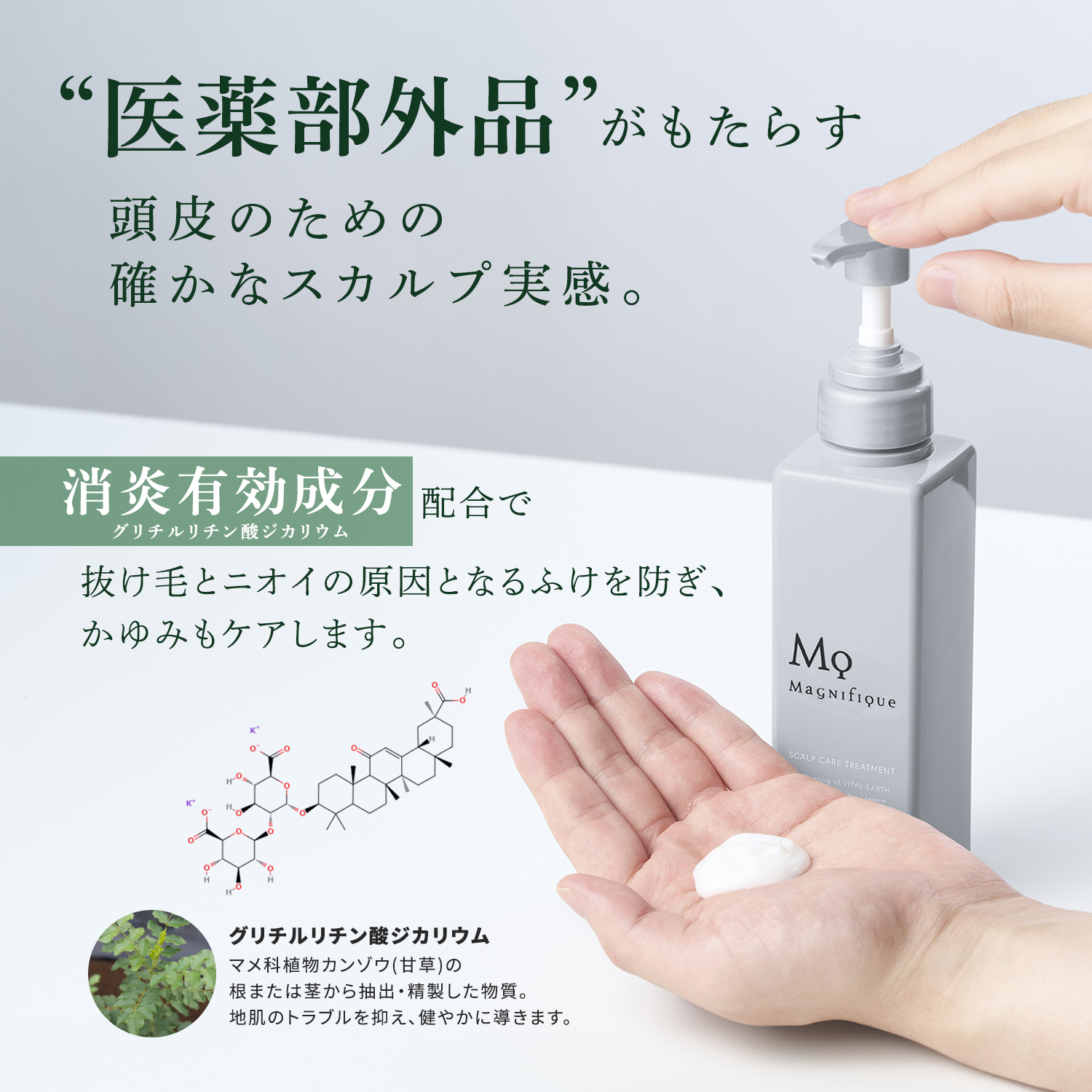 【定期便-MYCHOICE】SCALP CARE TREATMENT