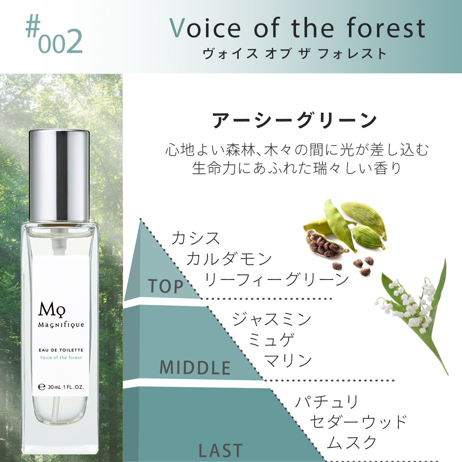 EAU  DE  TOILETTE <br>Voice of the forest