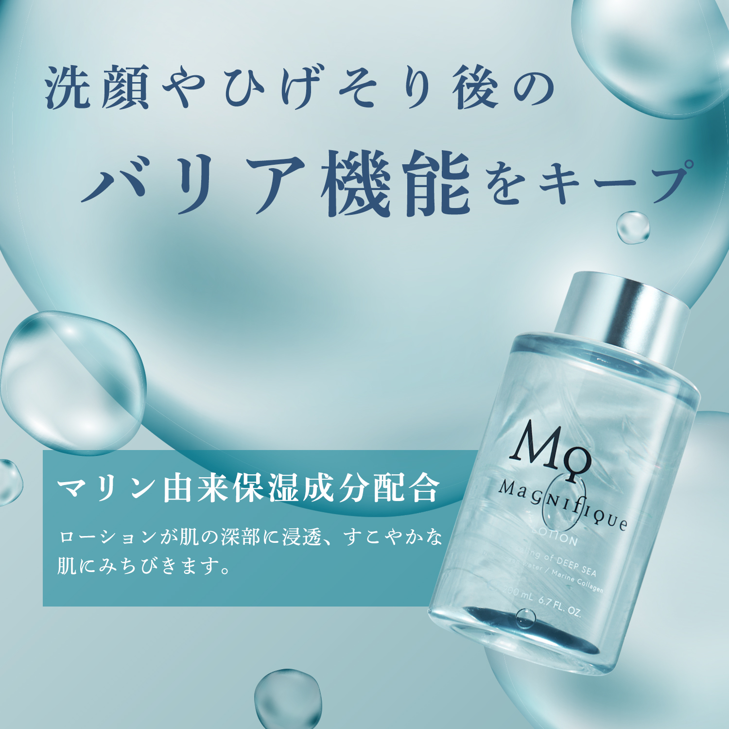 【定期便】LOTION