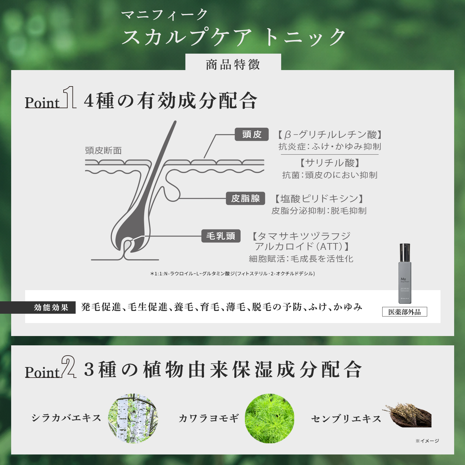 【定期便-MYCHOICE】SCALP CARE  TONIC