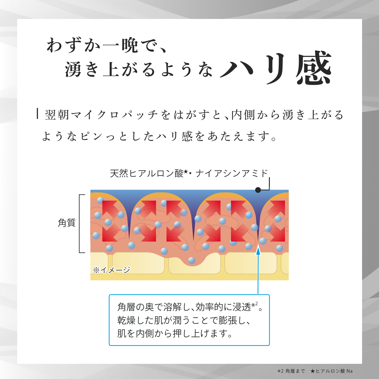リンクルリフト ジェルクリーム ＋ マイクロパッチ HA ＜3回分＞ セット