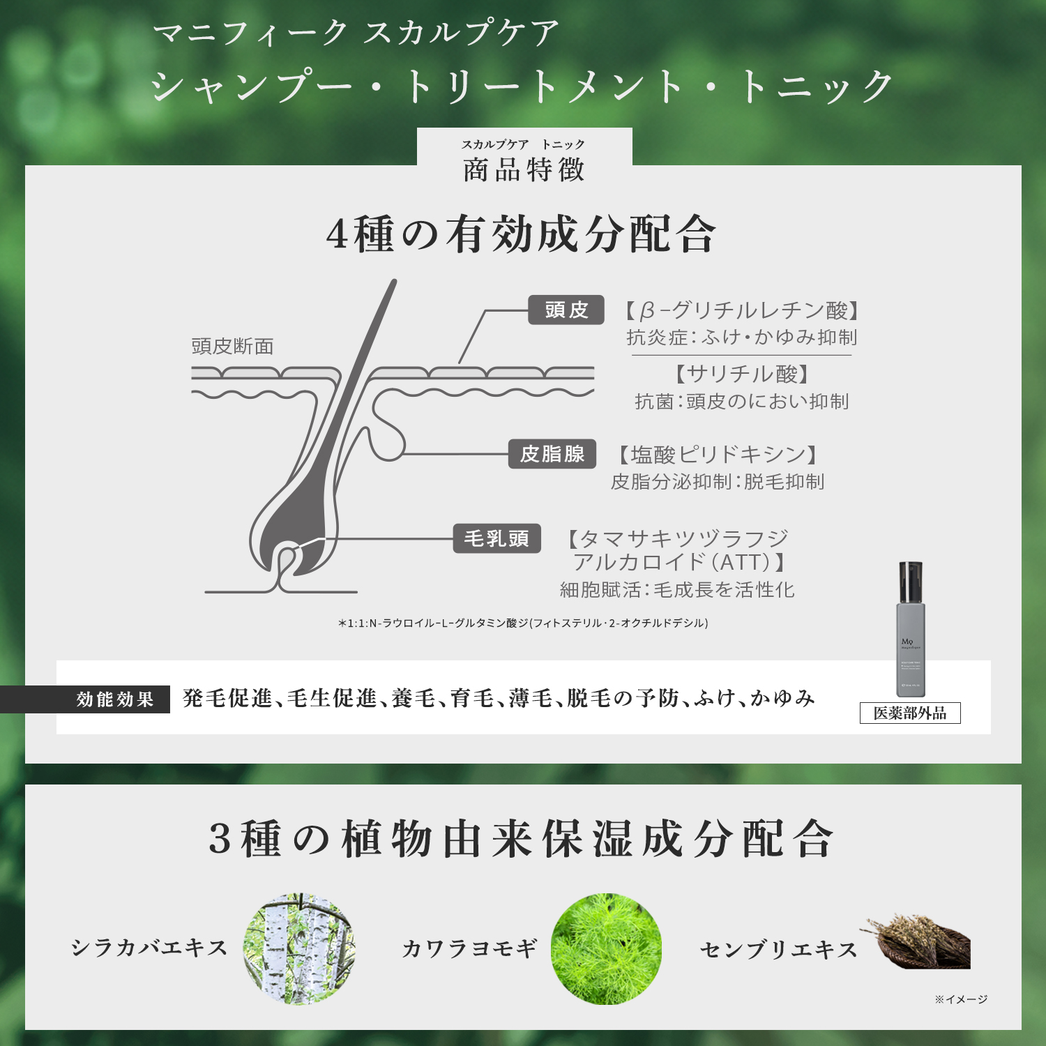 【定期便】医薬部外品の確かなスカルプ実感！３点セット