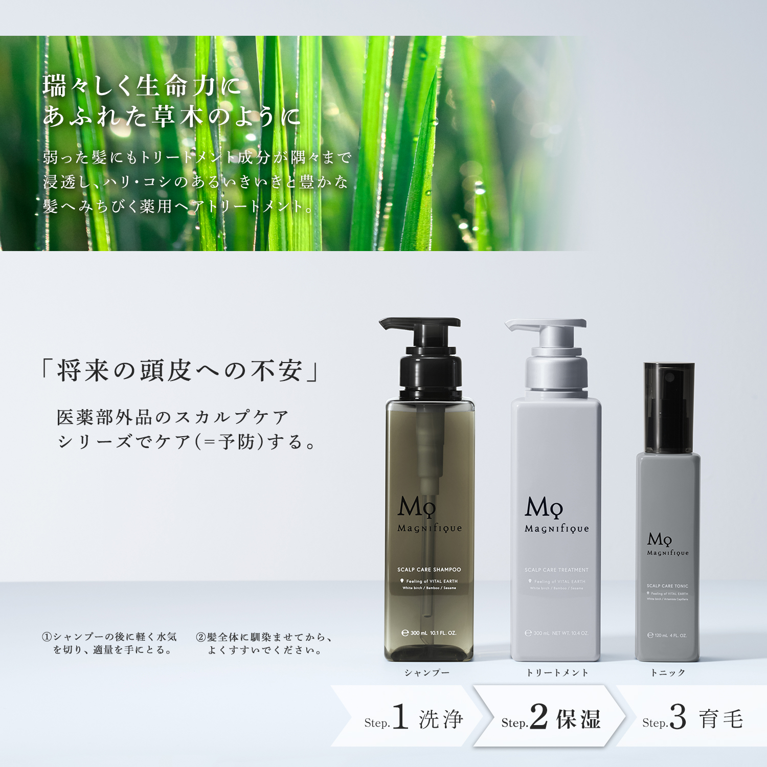 【定期便】SCALP CARE TREATMENT