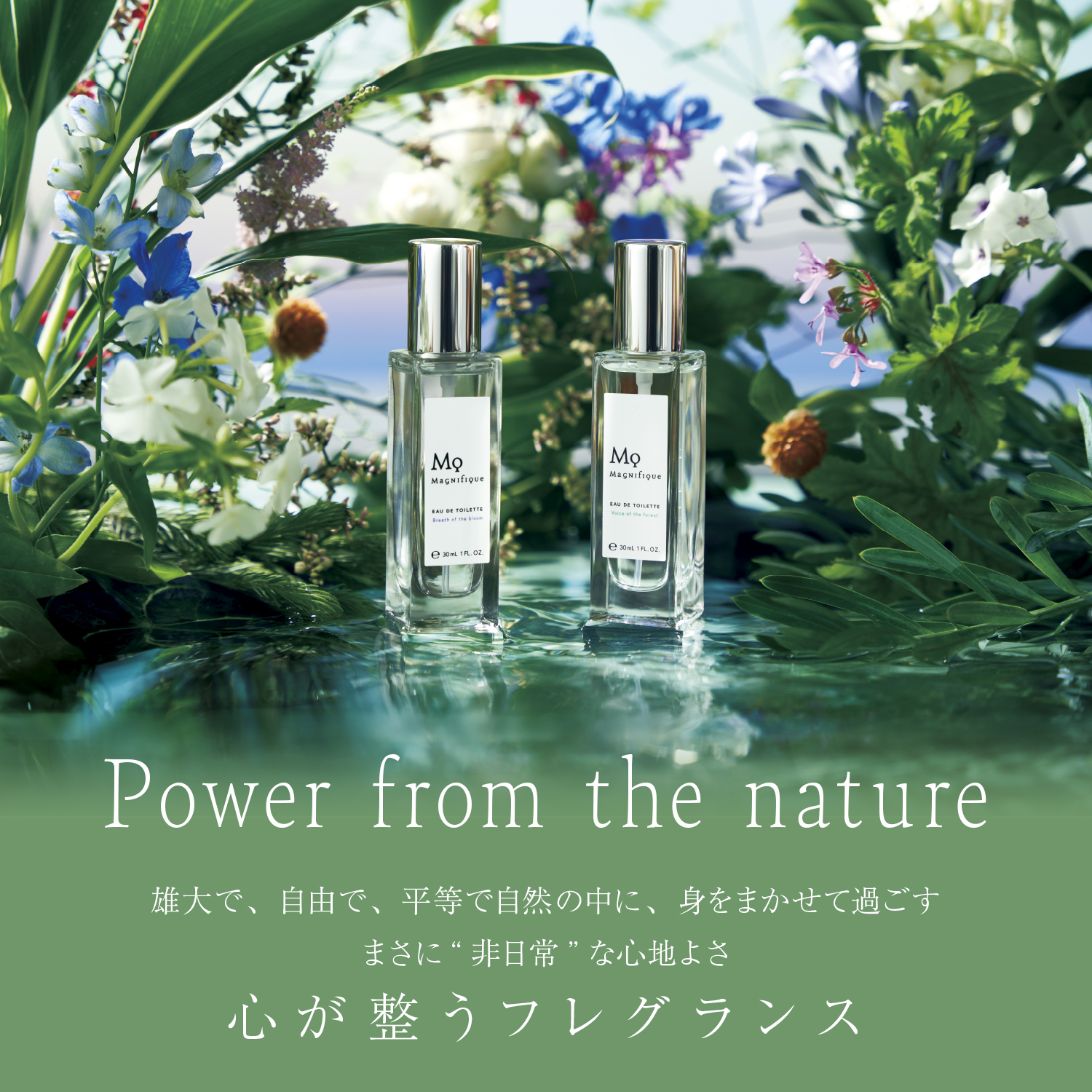 EAU  DE  TOILETTE <br>Breath of the bloom