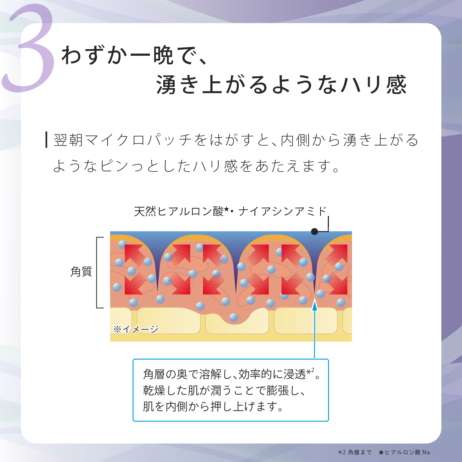 【定期便】本気のシワ対策セット