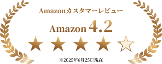 Amazonカスタマーレビュー 4.2 ※2025年6月25日現在