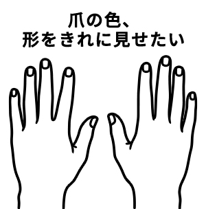 爪の色と形をきれいに見せるネイルシールド