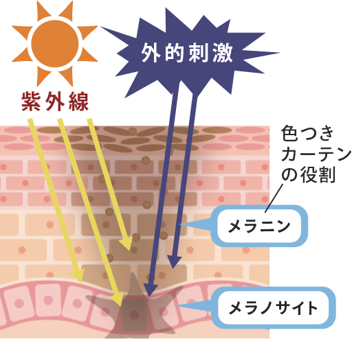 メカニズム画像1