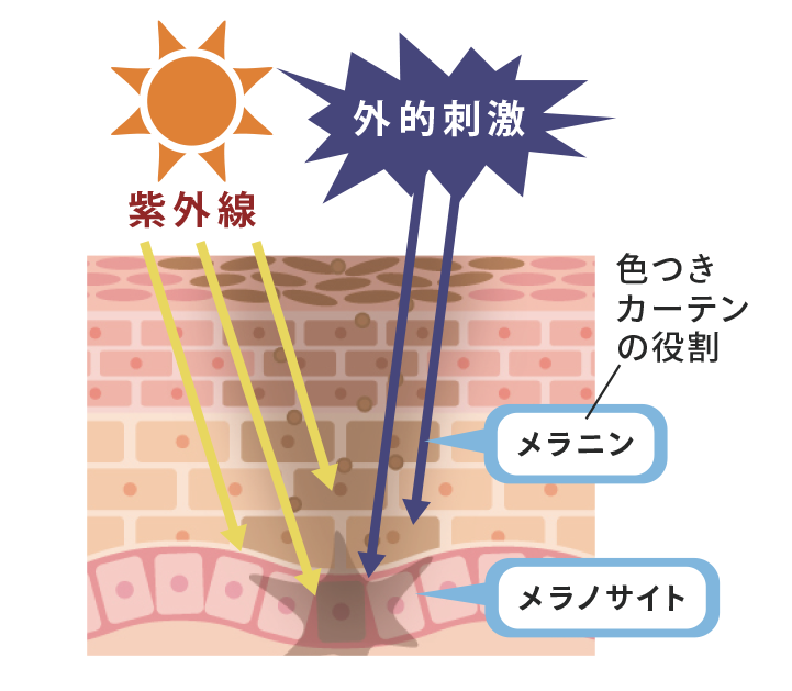 メカニズム画像1